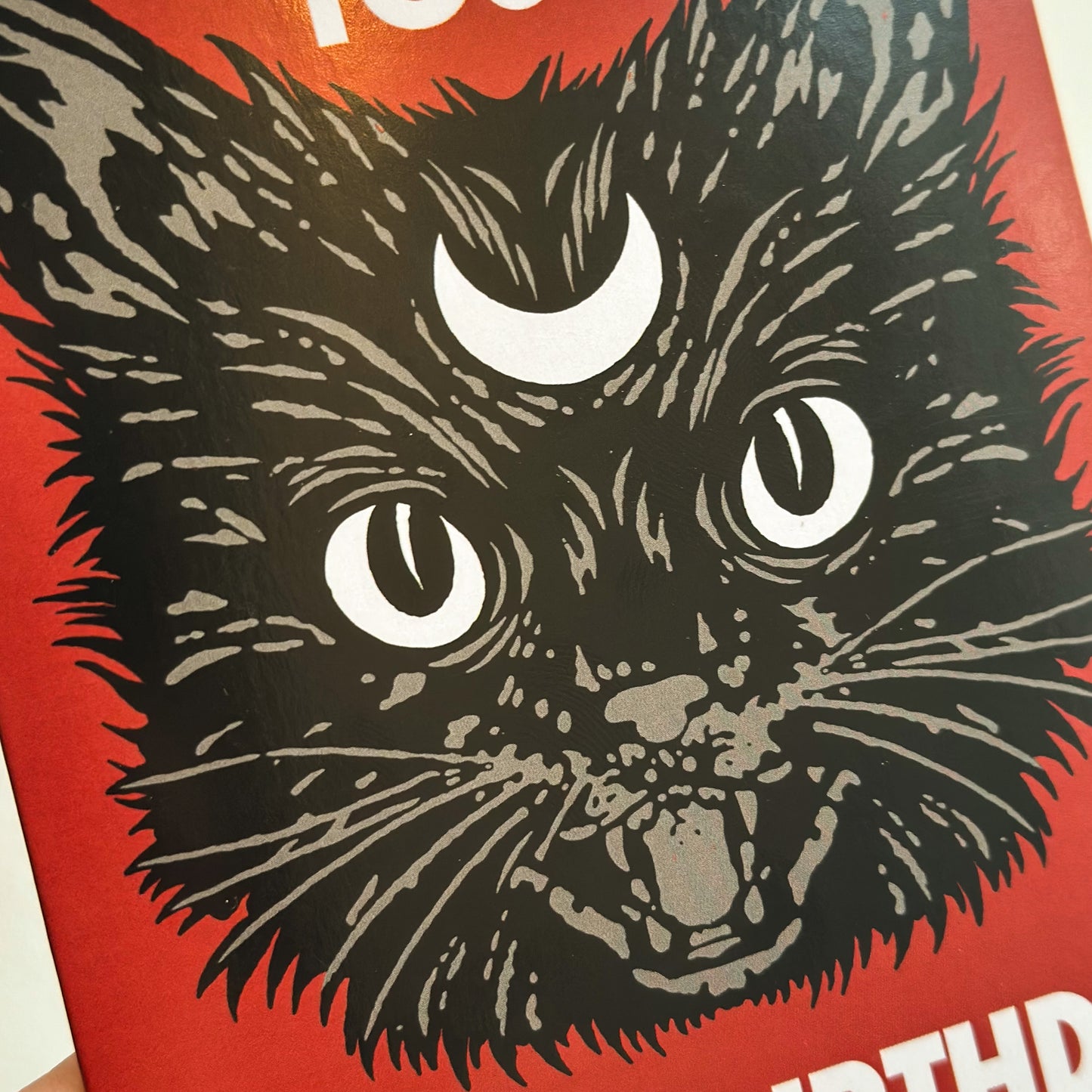 Happy Birthday Cat - Greeting Card